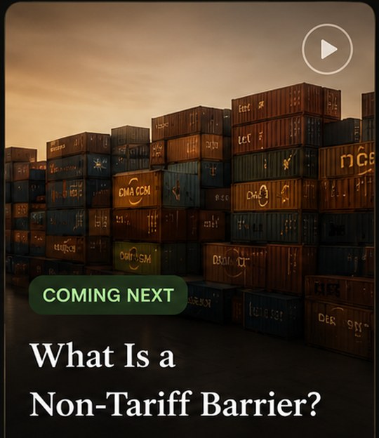 Container yard visual for non-tariff barrier clip.